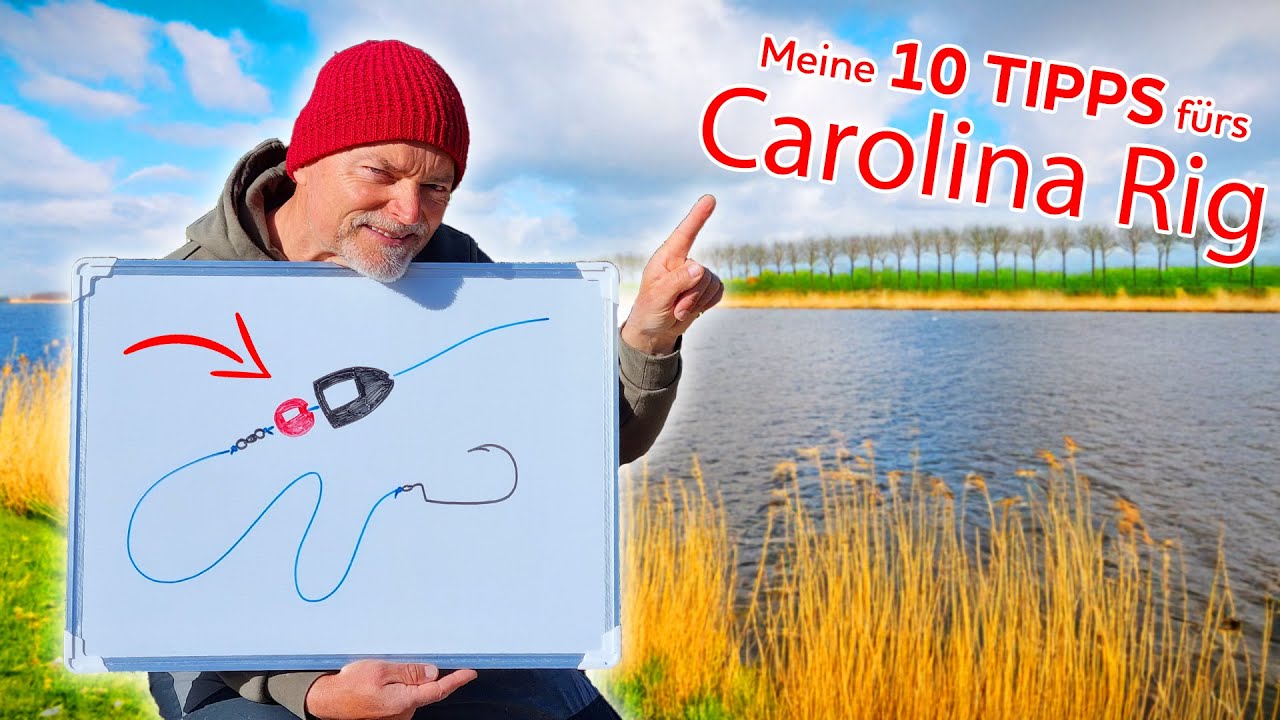 So fängst du mit dem Carolina-Rig! 10 Tipps zu Montage, Haken, Gewicht, Köderführung...