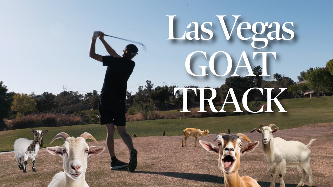 Las Vegas' Best Goat Track - Wild Horse Golf Club