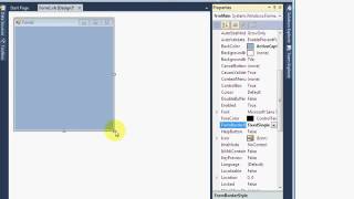 Famous VB NET Lecture 18   Form Control Net Worth