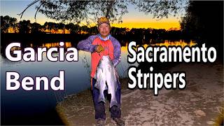Peak Sacramento River Striper Season Almost Here