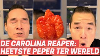- Dennis Eet De Carolina Reaper, De Heetste Peper Te Wereld. Dit Gaat Bijna Fout