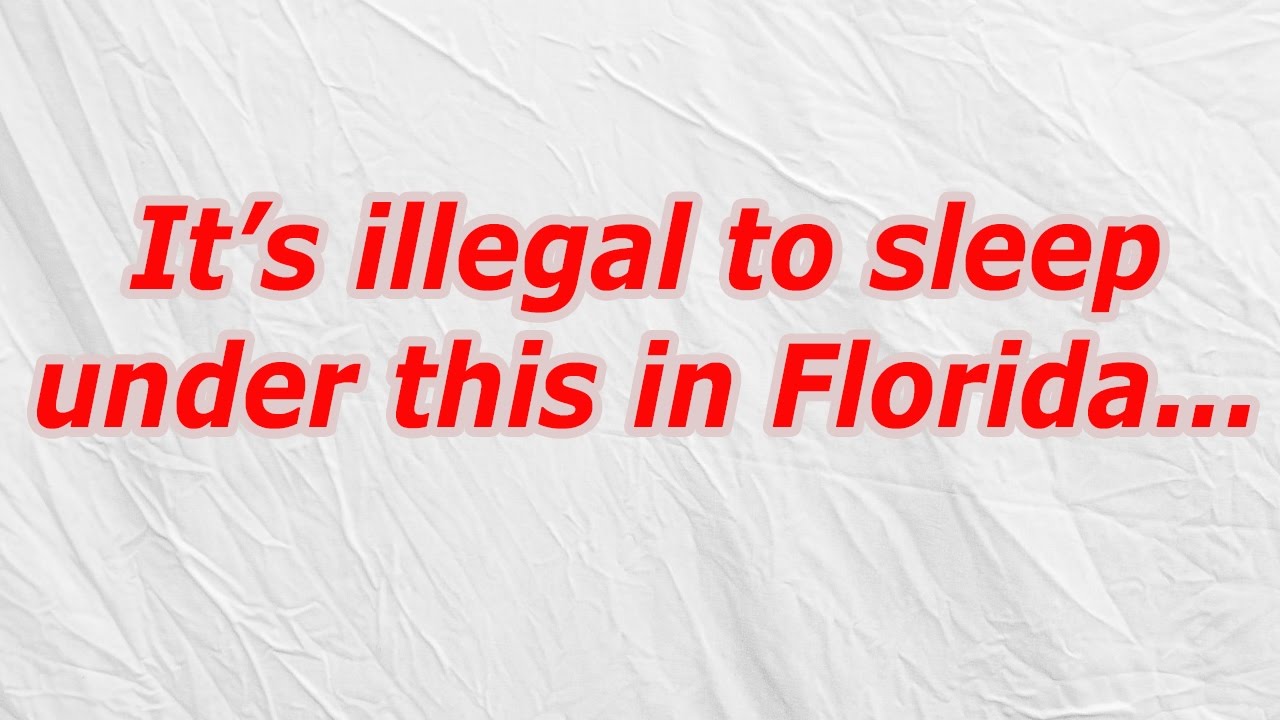 It s Illegal To Sleep Under This In Florida CodyCross Answer Cheat It s Illegal To Sleep Under This In Florida CodyCross Answer Cheat