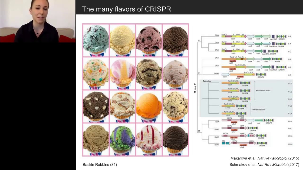 Microbe Wars; The Rise of CRISPR Immunity and Technology