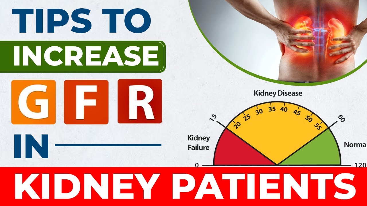 Foods to lower your creatinine & increase your GFR How to increase