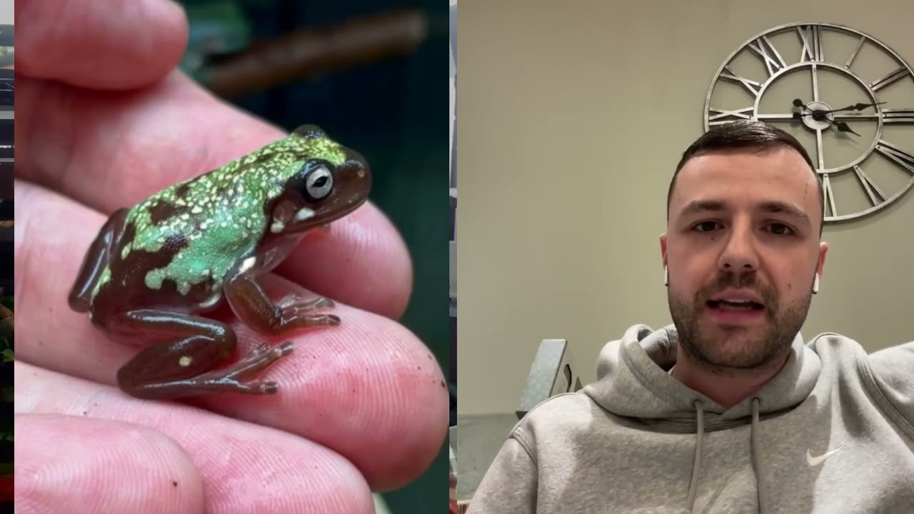 Episode 15: UrbanFaunaReptiles