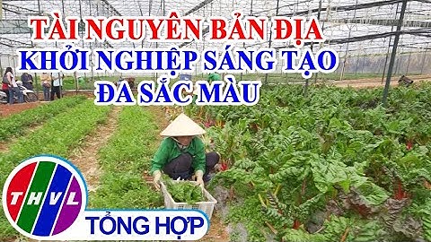Khởi nghiệp xanh: Tài nguyên bản địa - Khởi nghiệp sáng tạo đa sắc màu