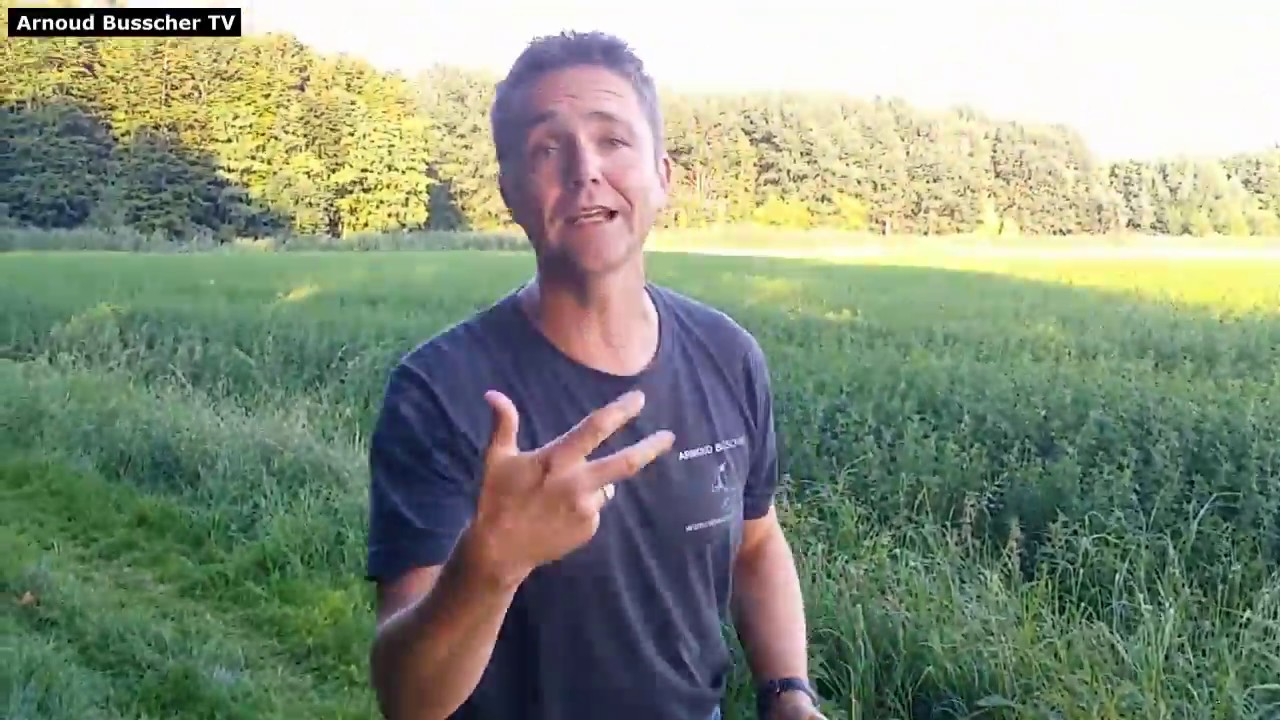 Los laten - Puppy Cursus Hondenspecialist Arnoud Busscher