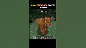 returning players be like.....🫢 #minecraft #shorts #viralvideo #gaming