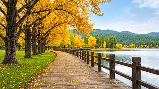 Beautiful Relaxing Autumn Music 🍁 Colorful Forest 4K | Nature Sounds & Soft Piano screenshot 1