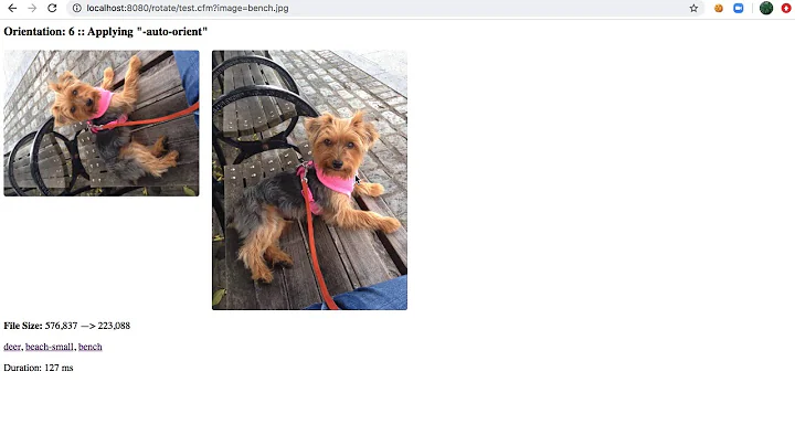 Reading EXIF Orientation And Auto-Orienting Images Using GraphicsMagick And Lucee CFML 5.2.9.31