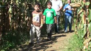 The one and only amazing maize maze in NYC!