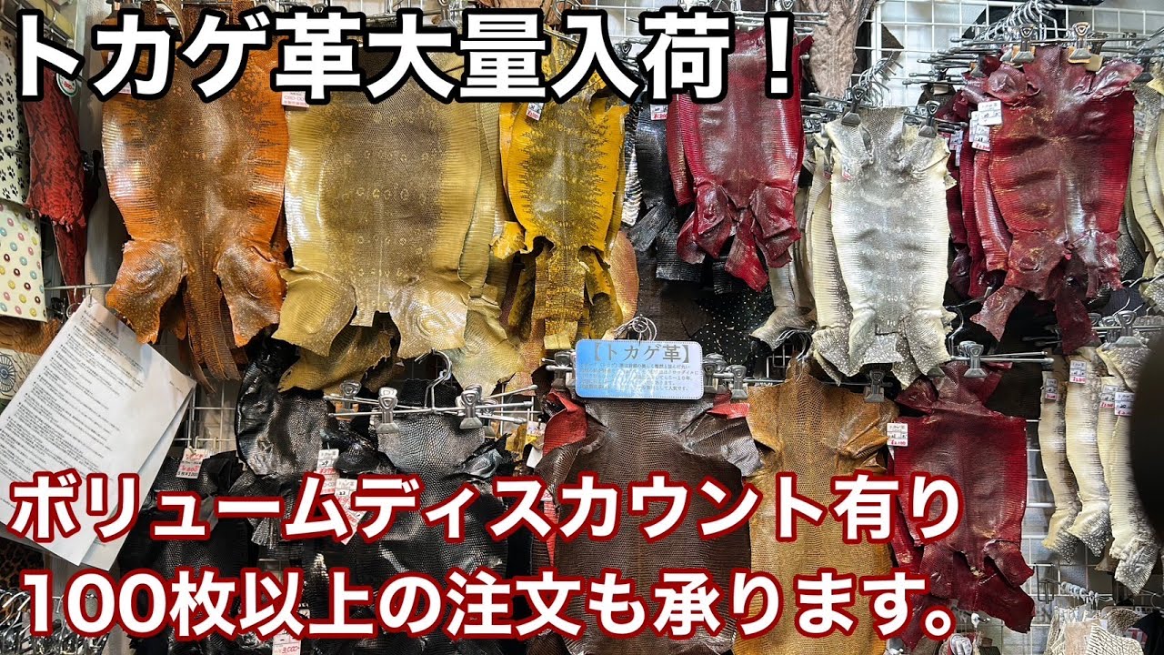 リングマークトカゲ革が大量入荷！ボリュームディスカウントもしてます