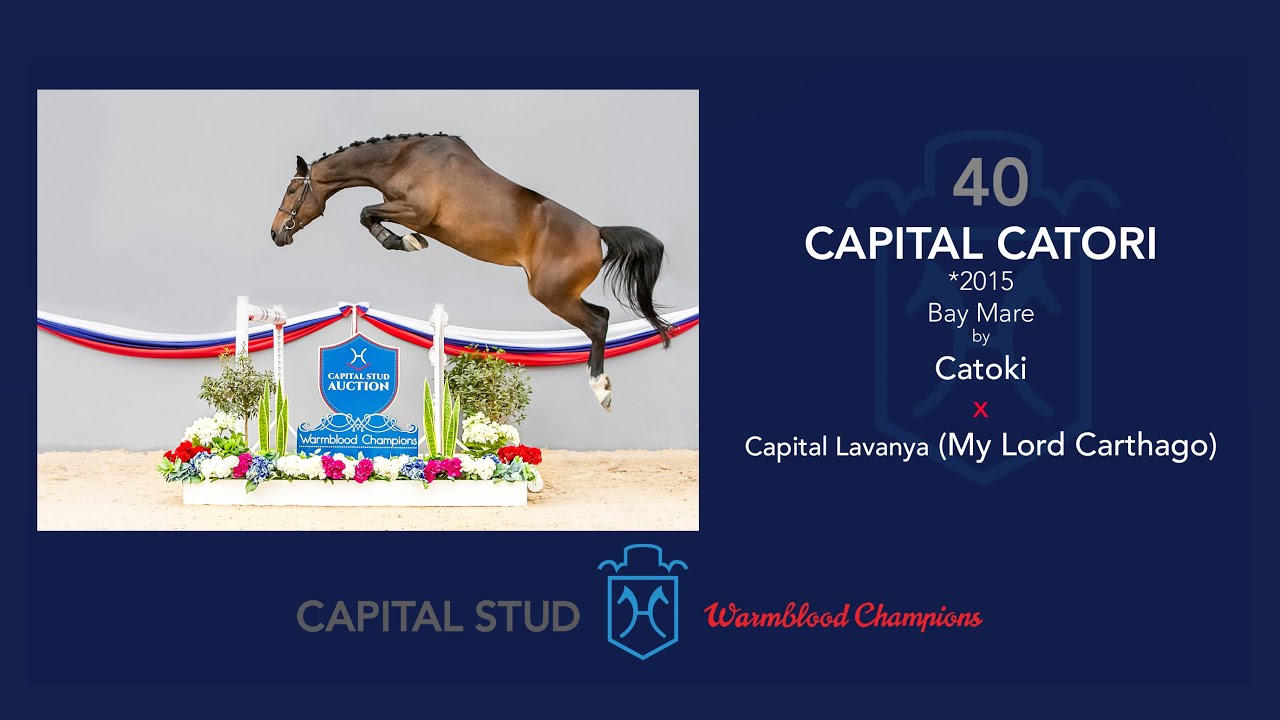 LOT 40 CAPITAL CATORI - CATOKI x MYLORD CARTHAGO Z