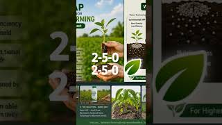 Nano Dap🌾🌾#agriculture #yt #nano #nano fertilizers #ai