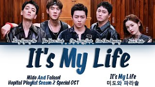Mido And Falasol(미도와 파라솔) - It's My Life (Drama Ver)Hospital Playlist 2 (슬기로운 의사생활 시즌2)OST Lyrics/가사 chords