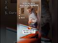 These interesting pool ball moments will shock you #moments