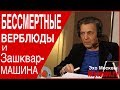 Бессмертные верблюды и зашквар-машина. Невзоровские среды» . Эфир от 01.05.2019