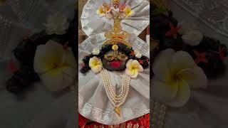 আমাদের নটবর গোপাল এর গলার মালা দলে 🪷🙏#love #iskcon #gopal #vakti