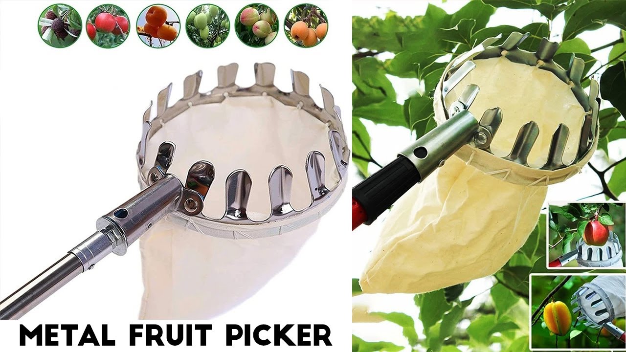 Metal Fruit Picker: High Tree Orchard Gardening Tool