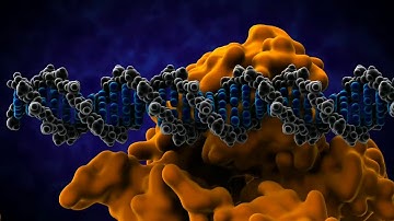 Class 9 Lesson 16 Heredity & Variation
