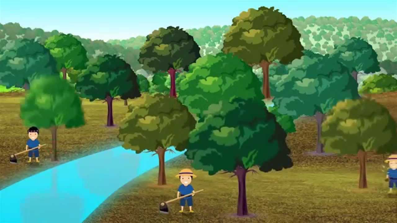 RDPB สื่อสร้างสรรค์ ศูนย์ศึกษาการพัฒนาภูพานอันเนื่องมาจากพระราชดำริ