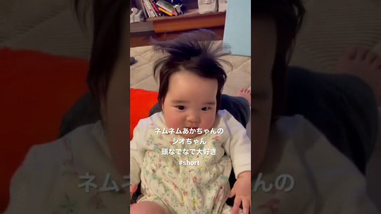 ネムネムシオちゃん頭なでなでが大好き 丸いおでこは美人の証拠って聞いたけど本当かなぁ Shorts Short Youtube