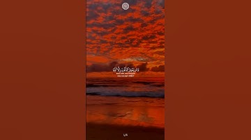 سورة أل عمران الآية {135-136} من القرآن الكريم ❤️ #القرآن_الكريم #راحة_نفسية #سورة_آل_عمران #الدين
