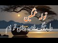 توله غمگین دل تنگ خنده های تو ام مهتاب من توله غمگین دل تنگ خنده های تو ام مهتاب من