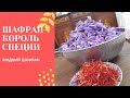 Жидкий Шафран для Персидских Блюд - ШАФРАН КОРОЛЬ СПЕЦИЙ