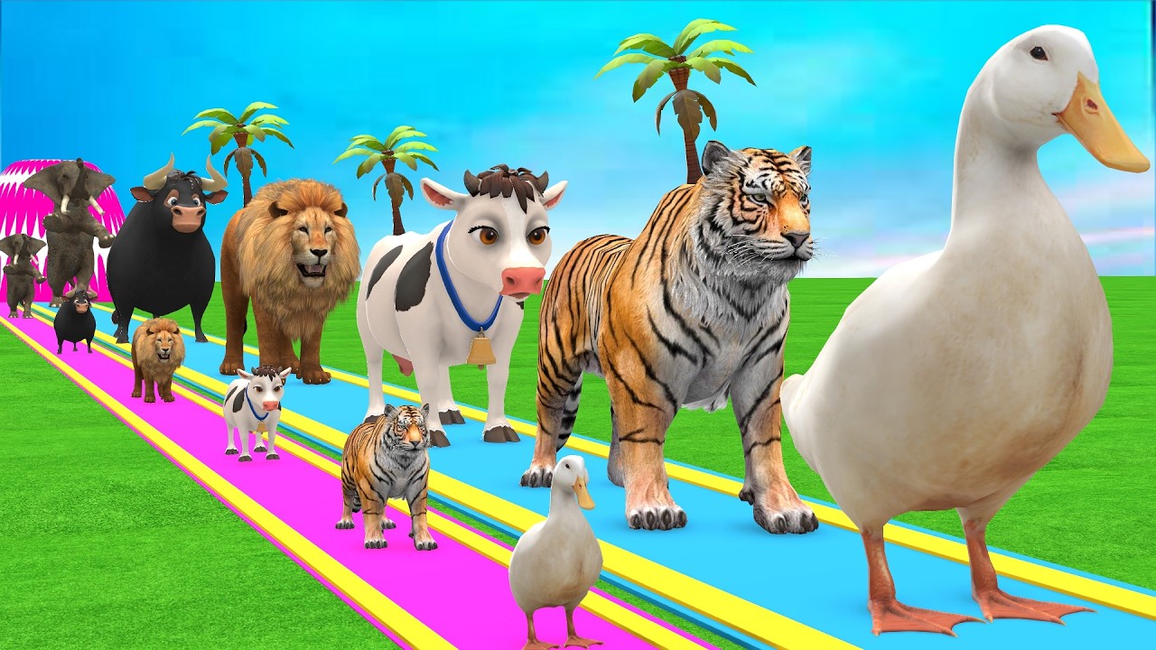 Long Slide Game with Cow Elephant Gorilla Hippopotamus Tiger 3d Animal Game Funny 3d Animals