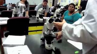 Lab Practical 1 Class Review