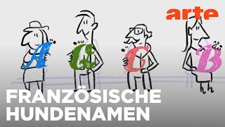 Das französische Alphabet der Rassenhunde | Karambolage | ARTE