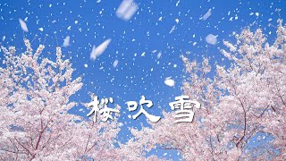 [4k] 桜吹雪 - A shower of cherry blossom petals looks like snowing in the spring - (shot on BMPCC6K)