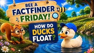 ๐ Bee a Factfinder Friday | Why Do Ducks Float? ๐ฆ Fun Science for Kids ๐ Bee a Factfinder Friday | Why Do Ducks Float? ๐ฆ Fun Science for Kids