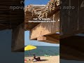 Яркие моменты лета 🐚
