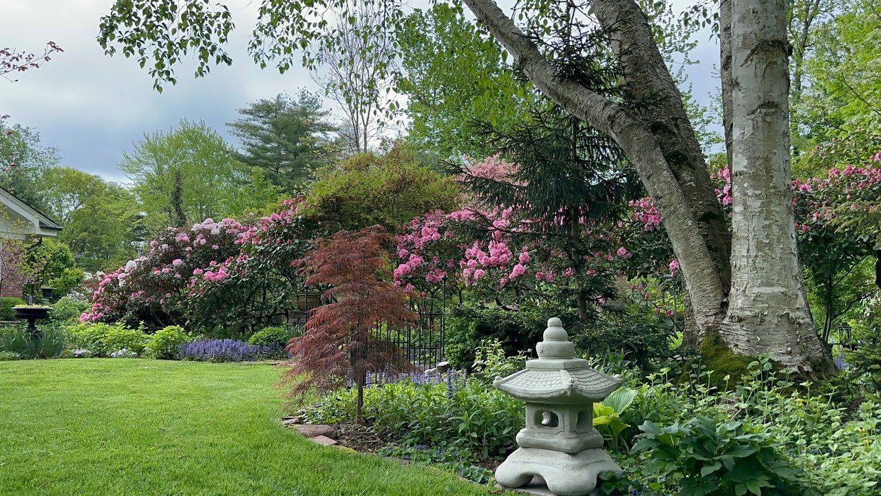 Mother’s Day Blooming (garden tour 5/12/2024)
