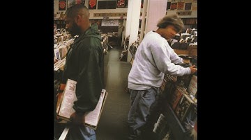 DJ Shadow - Building Steam With a Grain of Salt