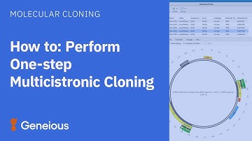 How to Perform One-step Multicistronic Cloning in Geneious Prime