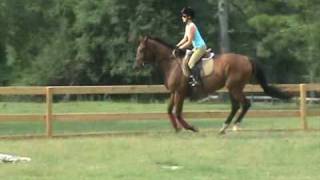 * SOLD* Hailey Flatwork