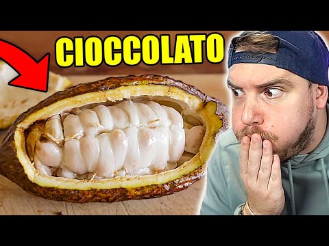 Video: Cosa è Incluso Nel Cioccolato