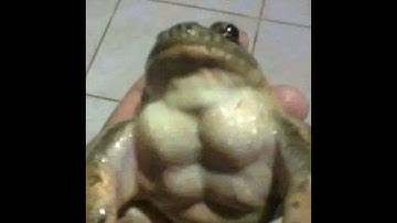 Plasma of Doom 32% (ex World Record) - Geometry Dash