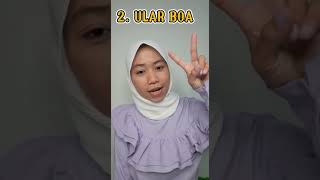 3 Ular Terbesar Di Dunia