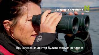 Talk To The Animals Mk