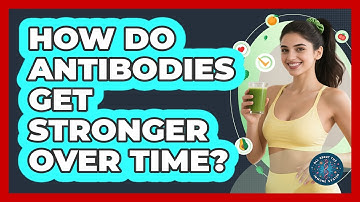 How Do Antibodies Get Stronger Over Time? - All About the Immune System