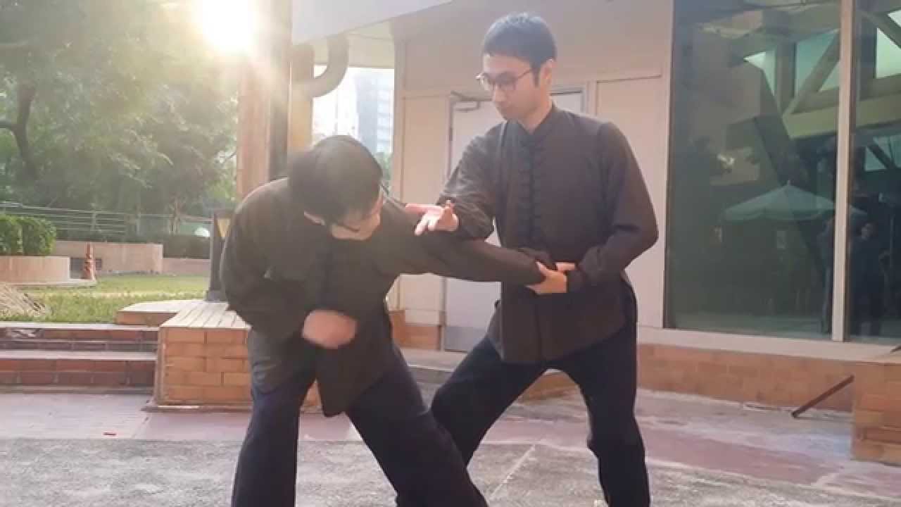 傅家八卦掌 陽八卦 (第二、三掌)