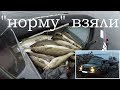 МОРСКАЯ УДАЧНАЯ РЫБАЛКА / НОРМУ ВЗЯЛИ / SEA FISHING