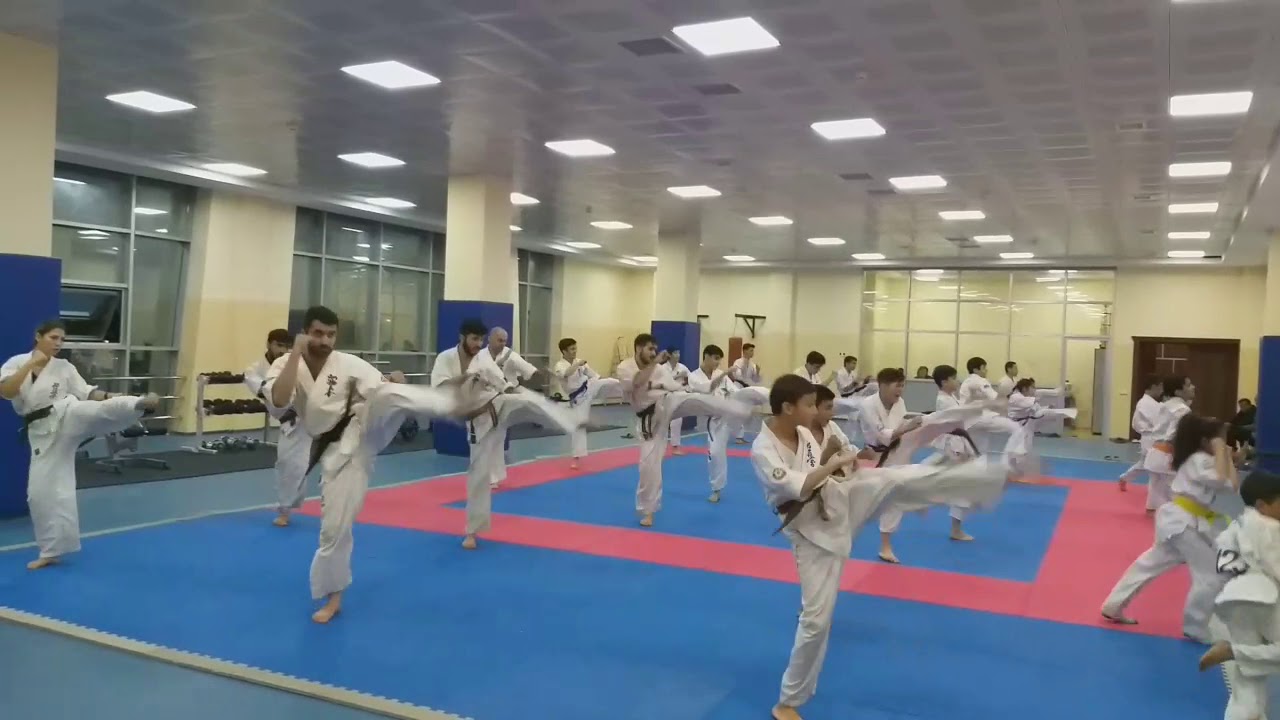 KYOKUSHIN/SHINKYOKUSHIN YouTube