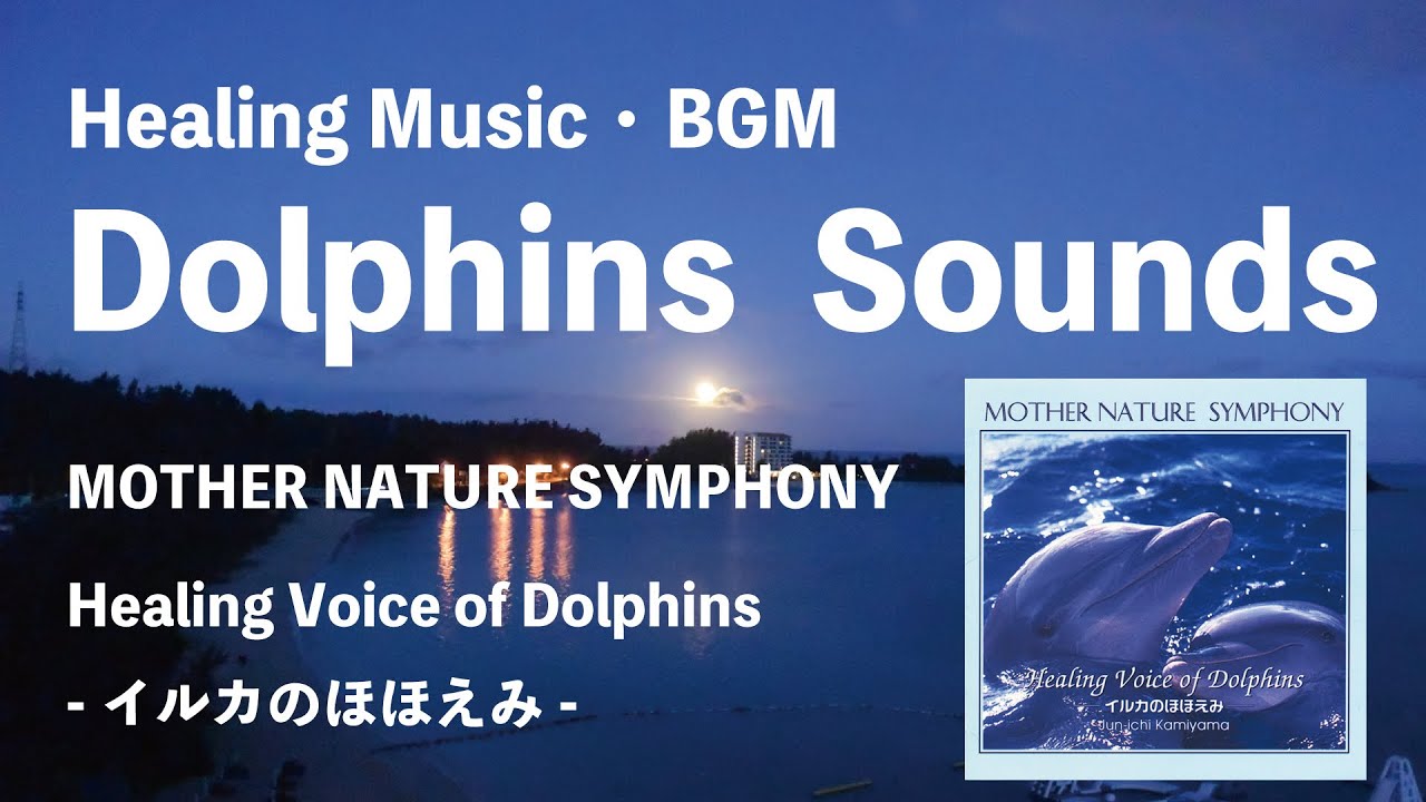 睡眠用・癒しBGM】イルカと音楽 - YouTube