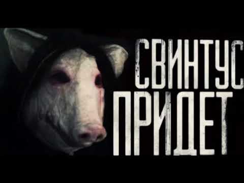 СВИНТУС ПРИДЁТ