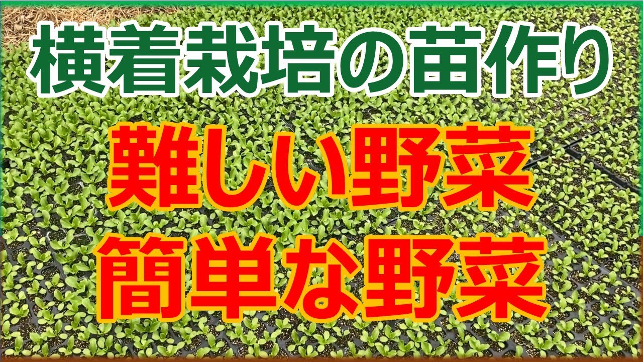 Lazy cultivation] Difficult vegetables to grow seedlings of and